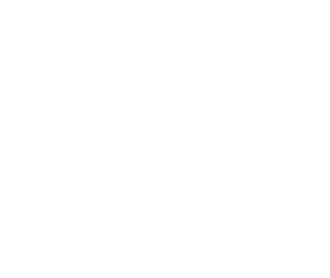 Bridge of Business